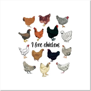 I love chickens Posters and Art